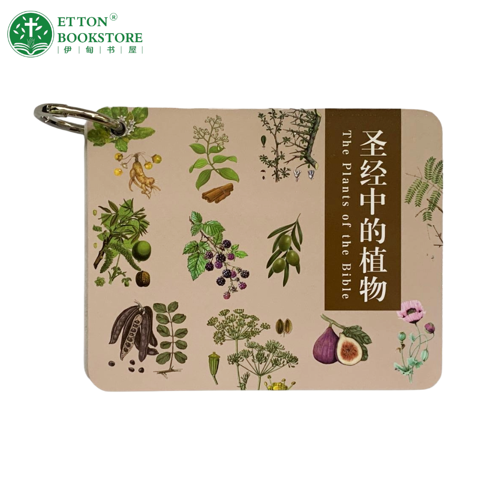 The Plants in the Bible 圣经中的植物